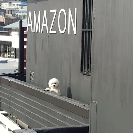 Amazon Guesthouse