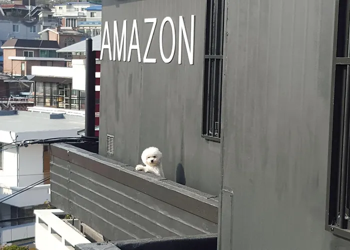 Amazon